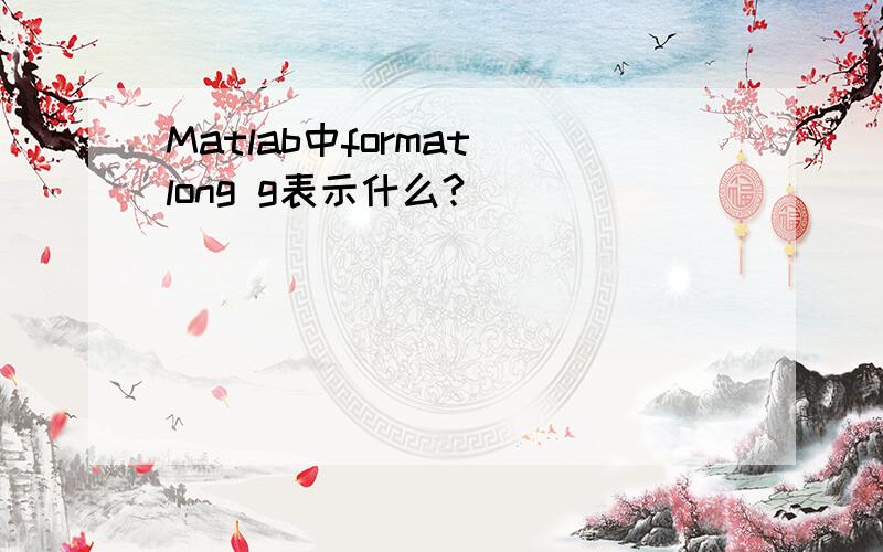 Matlab中format long g表示什么?