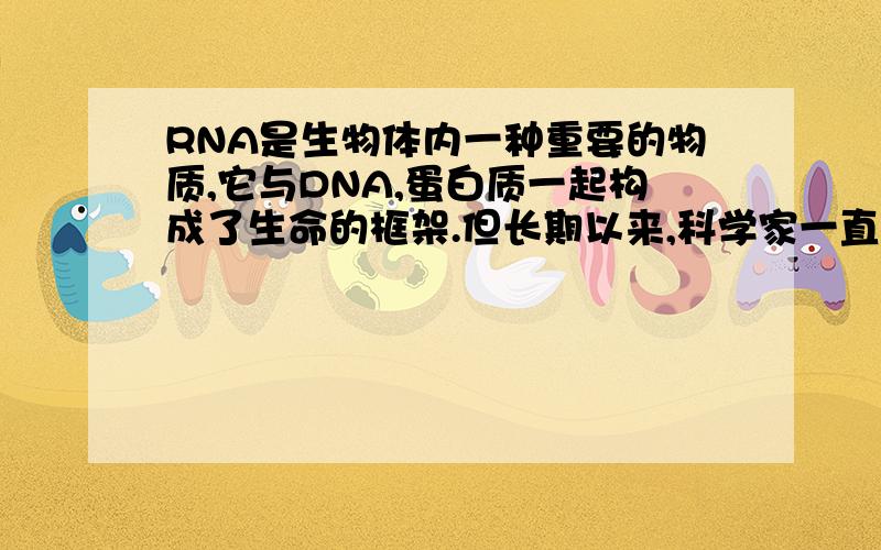 RNA是生物体内一种重要的物质,它与DNA,蛋白质一起构成了生命的框架.但长期以来,科学家一直认为,RNA仅