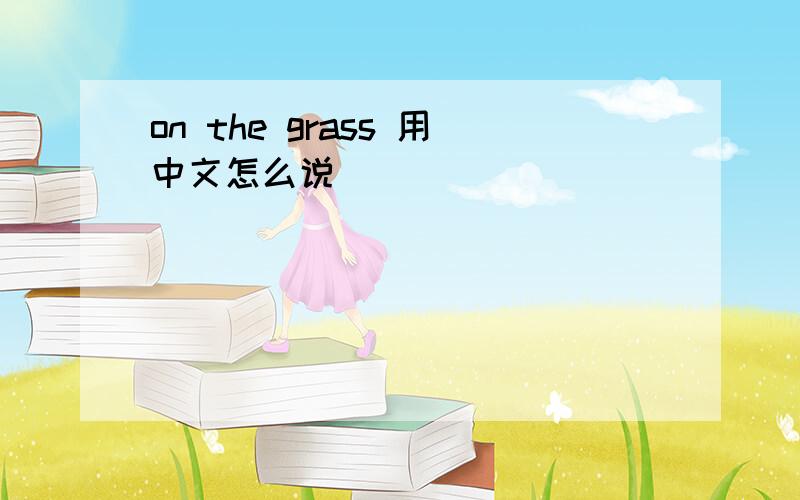 on the grass 用中文怎么说
