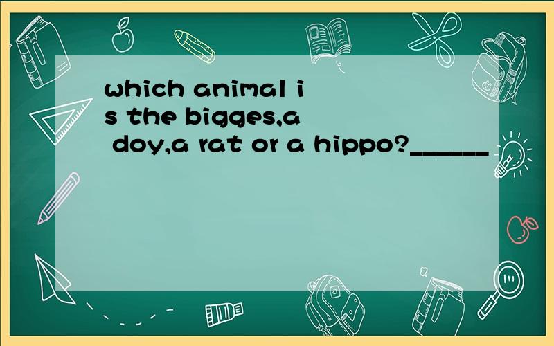 which animal is the bigges,a doy,a rat or a hippo?______