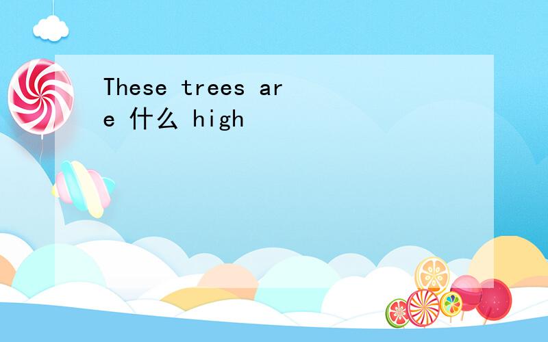 These trees are 什么 high