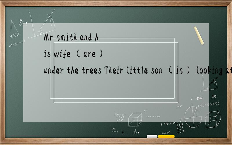 Mr smith and his wife (are) under the trees Their little son (is) looking at the flowers上句我和老婆是指复数吗 所以些ARE下句他们孩子叶指复数吧 为什么要写IS