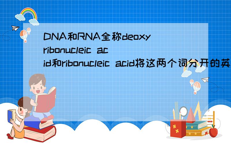DNA和RNA全称deoxyribonucleic acid和ribonucleic acid将这两个词分开的英文意思比如deoxy-ribo-nucleic分别是什么意思
