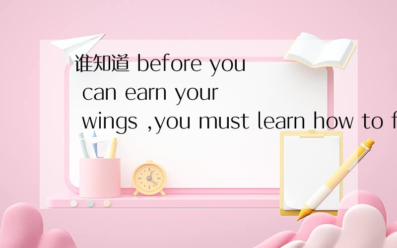 谁知道 before you can earn your wings ,you must learn how to fly!的意思?.