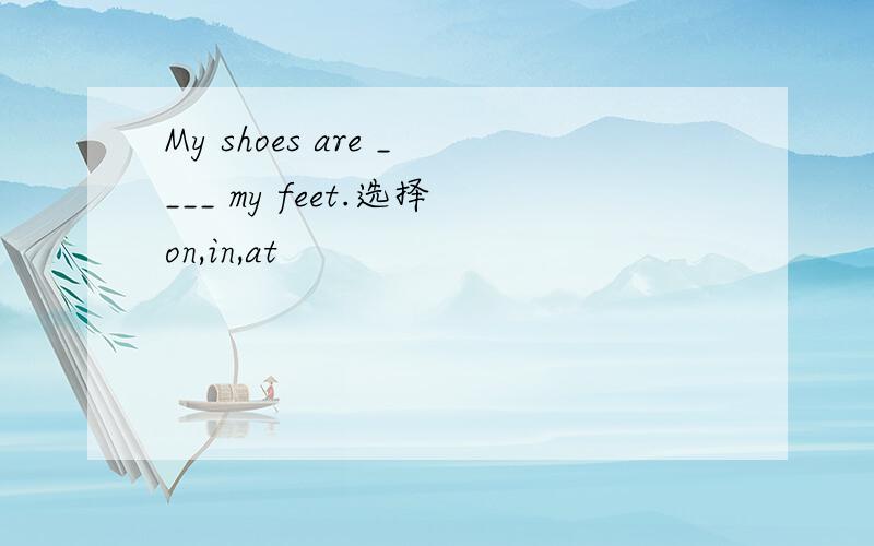 My shoes are ____ my feet.选择on,in,at