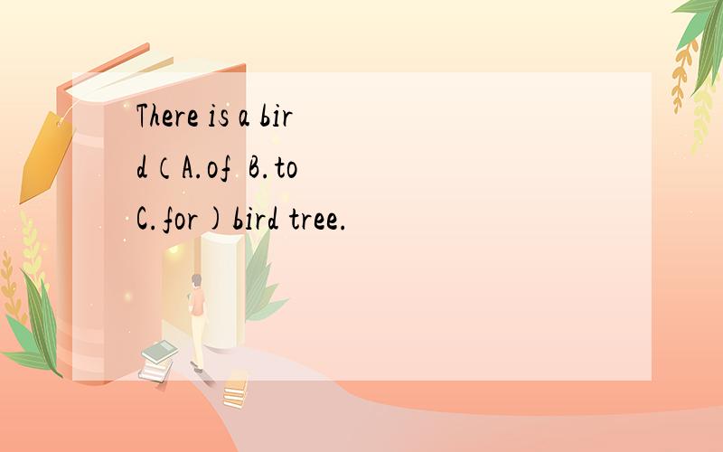 There is a bird（A.of  B.to  C.for)bird tree.