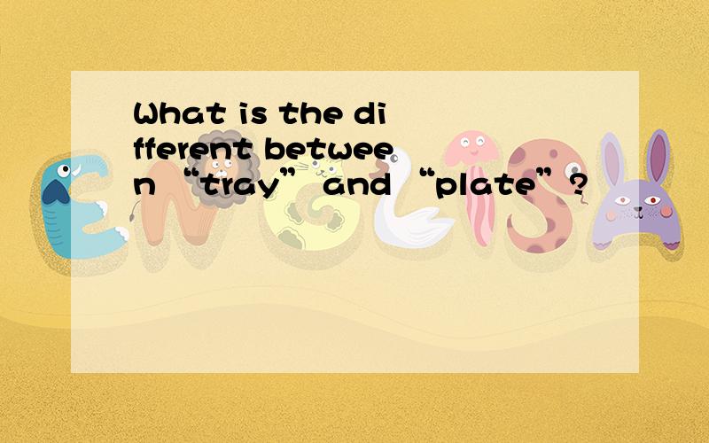 What is the different between “tray” and “plate”?